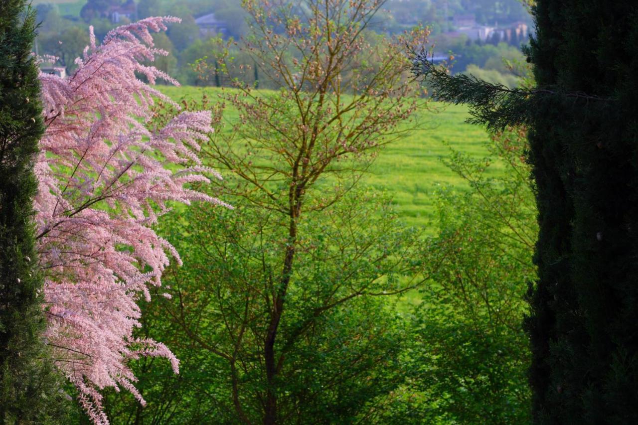 Giaggiolo Daire Poggibonsi Dış mekan fotoğraf