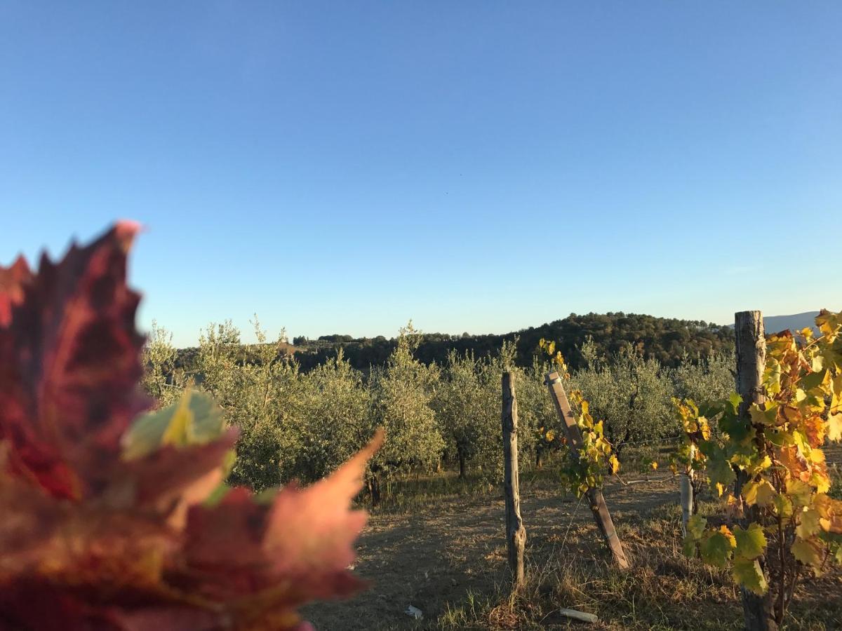 Giaggiolo Daire Poggibonsi Dış mekan fotoğraf